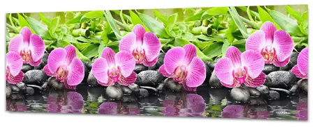 Декоративная панель "Орхидеи" 2000х600мм