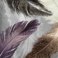 Коврик, разм. 50x80см, Dekorelle "Velvet silk" V268