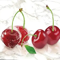 Декоративная панель "Ледяная вишня" 2000х600мм