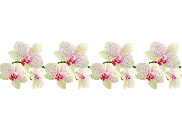 Фартук "Леопардовая Орхидея" ABS-пластик (термоперевод) 3000*600*1,5мм