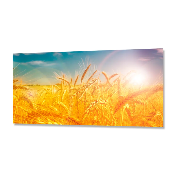 Фартук ФФ(167) ABS-пластик (фотопечать) 3м