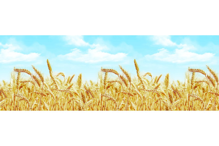 Фартук "Пшеница" ABS-пластик (термоперевод) 3000*600*1,5мм