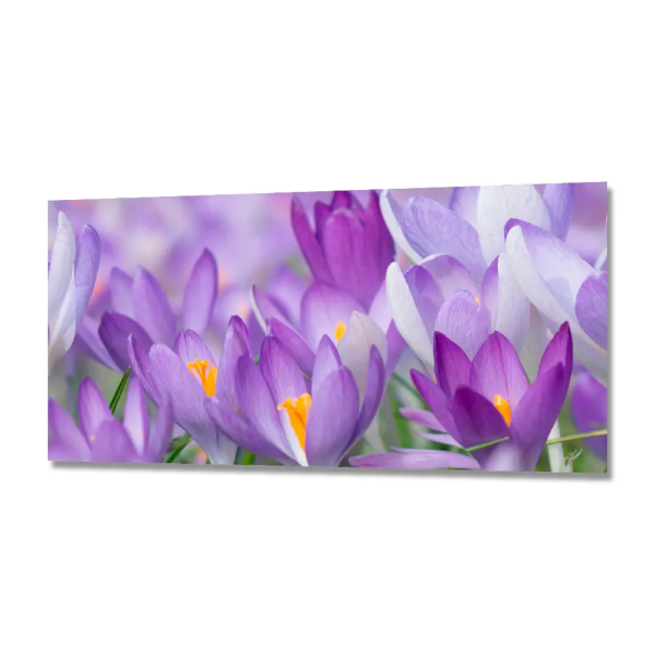 Фартук ФФ(277)  ABS-пластик (фотопечать) 3м