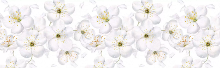 Панель интерьерная Яблоневый цвет 600*3000мм(0,75мм)