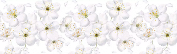 Панель интерьерная Яблоневый цвет 600*3000мм(0,75мм)