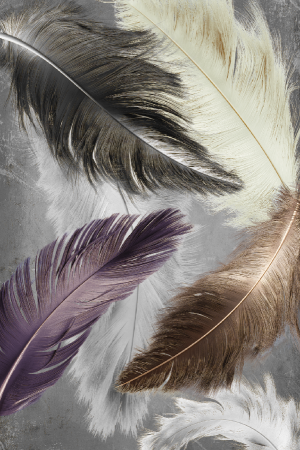 Коврик, разм. 50x80см, Dekorelle "Velvet silk" V268