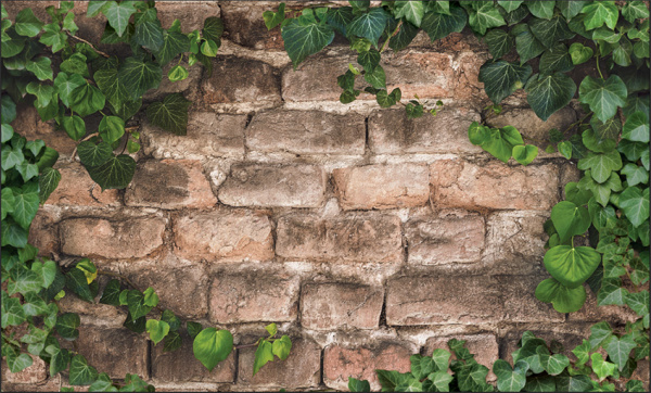 Фартук-панно "Зеленый плющ" 602х1002мм (5) N