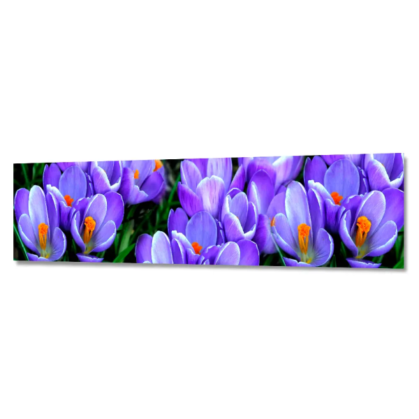 Фартук ФФ(227)  ABS-пластик (фотопечать) 3м