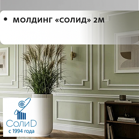 Молдинг "Солид" (2м) Молдинг "Солид" (2м)