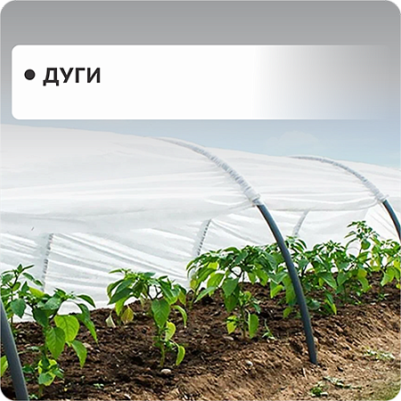 Дуги