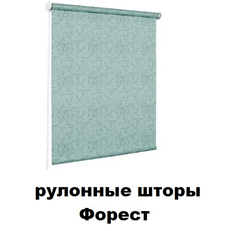 Рулонные шторы Форест