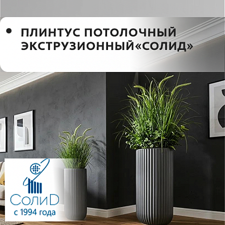 Плинтус потолочный экструзионный "Солид"