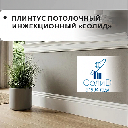 Плинтус потолочный инжекционный "Солид" Плинтус потолочный инжекционный "Солид"