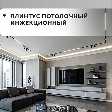 Плинтус потолочный Инжекционный Плинтус потолочный Инжекционный